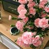 user19096186007771