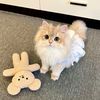 PET STORY