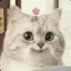 unknownjudy7