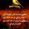 user2154872482025
