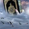 mamet.sief.w.ali