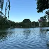 13.8.2002