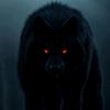 volq_555