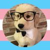 dogsgotoheaven3