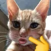 sưởi ấm mùa đông