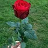 user436721162