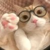 eletefile2forhack