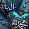 user49790574014484