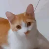 someones_bootycrack0
