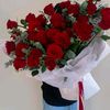ammar.rouh.aldeen