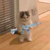 shipuch.kaaa
