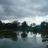 আলোর পথে