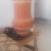 hadickrabcha