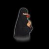 shahin10973