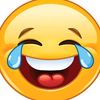 funny videos