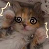 churro_pp