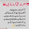 hamid.ali6139