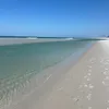 conhecafigueira