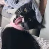 Littlemisspoppy
