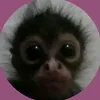 nini.gvii