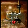 .al3ameli509