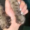 سروش🤎
