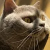 max201222222