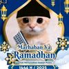 chevisqaw628