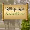 anaya.fatima9105