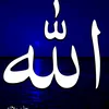 user7858607726506