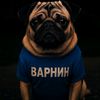 varninedits