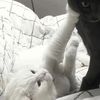 cuteextreme