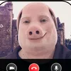 jonhporckk