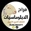 m.dblomasiyt