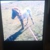 cristian.leites04