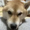 yuuto9373