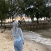 dhiniandinii