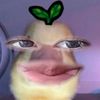 nisa.roblox64