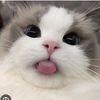 jerrytheberry92