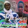 taphasylla9523