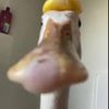 elite_asian