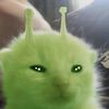 s1lly_aliengirl
