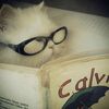 bookish.kaylaa8