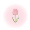 nourvnourr