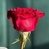 file.clo3