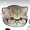 alicepapersquisy