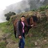 baudi