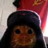 ussrkitty1945
