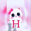 user8336524360062