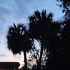 jacksonmonroe1